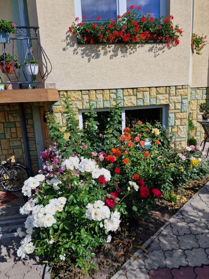 Apartmán Przystanek Pod Skalkami Lesko Exteriér fotografie