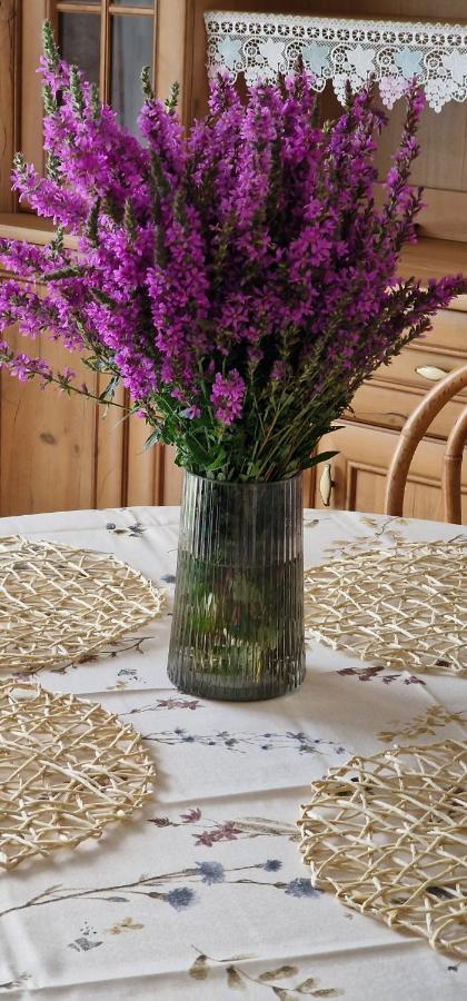 Apartmán Przystanek Pod Skalkami Lesko Exteriér fotografie